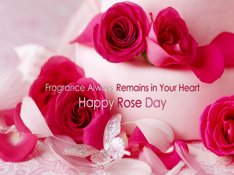 Celebrating the Gorgeous Rose day!!!