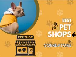 BEST PET SHOPS IN COIMBATORE