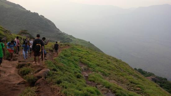 velliangiri mountains trekking in coimbatore